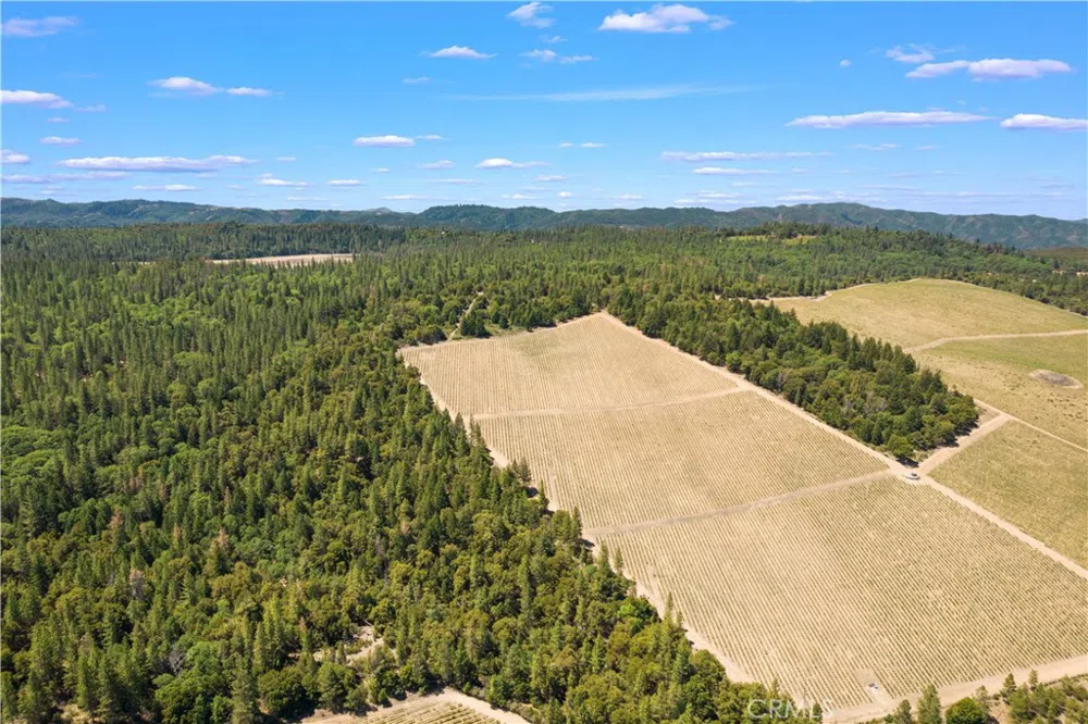 6736 Harrington Flat Road Loch Lomond, CA 95461