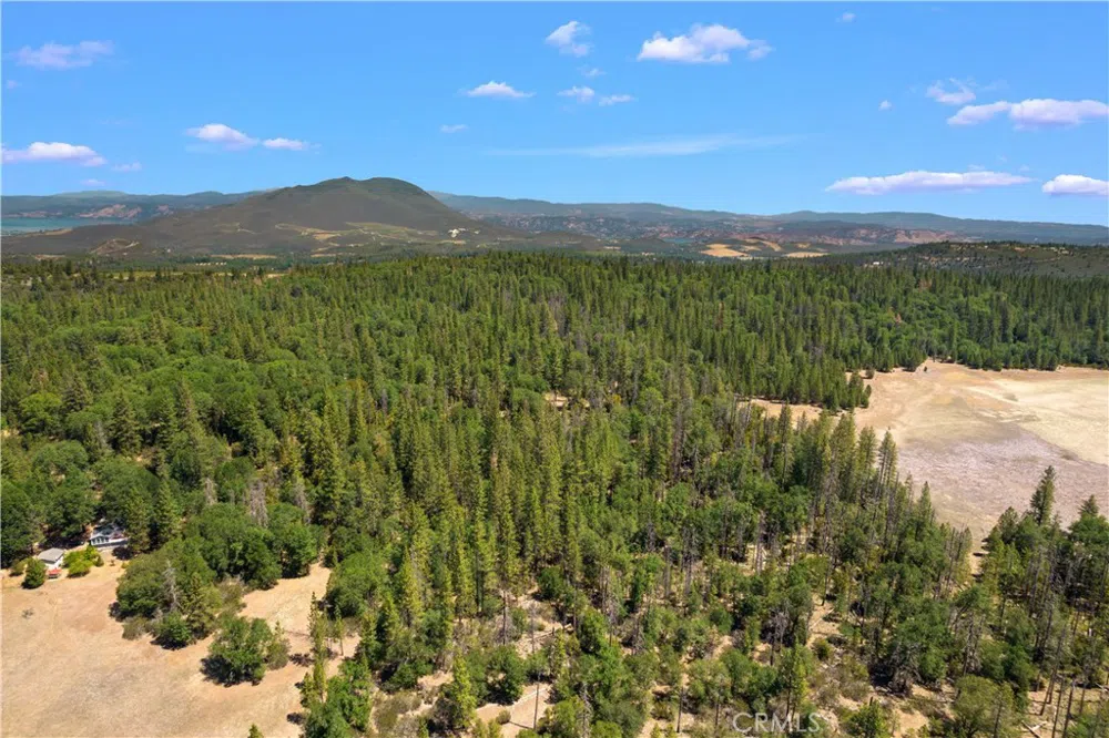 6736 Harrington Flat Road Loch Lomond, CA 95461