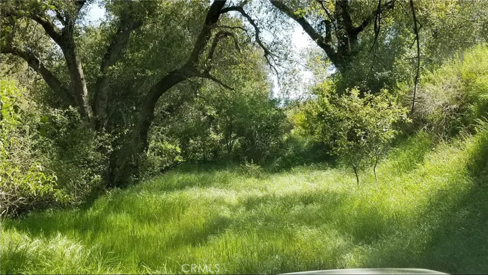 Hwy 78 (Julian Rd) Ramona, CA 92065