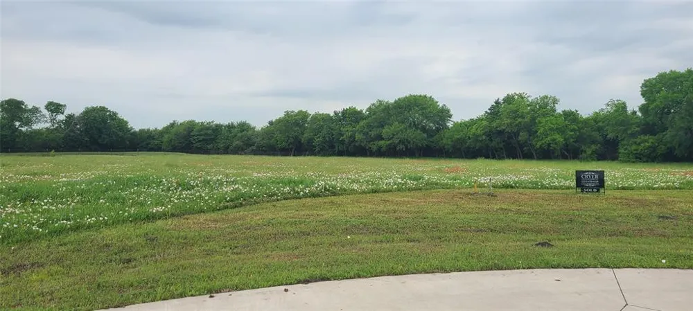 Deer Run Trail Farmersville, TX 75442