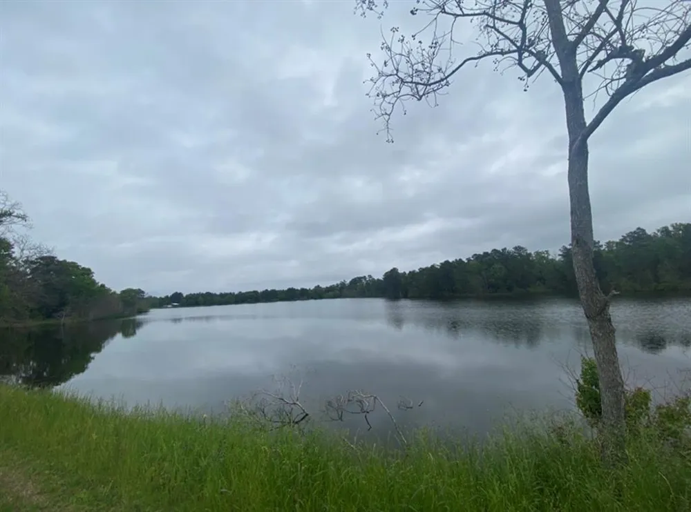 Wildwood Drive Shreveport, LA 71119