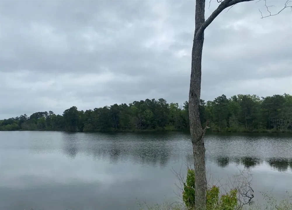 Wildwood Drive Shreveport, LA 71119