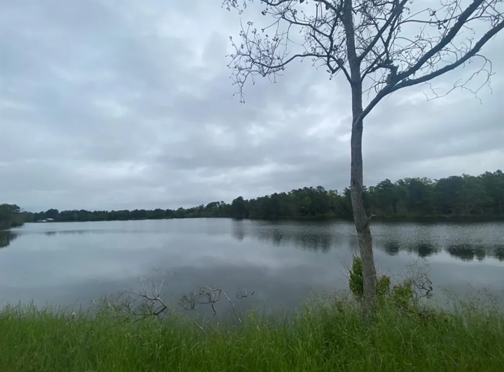 Wildwood Drive Shreveport, LA 71119