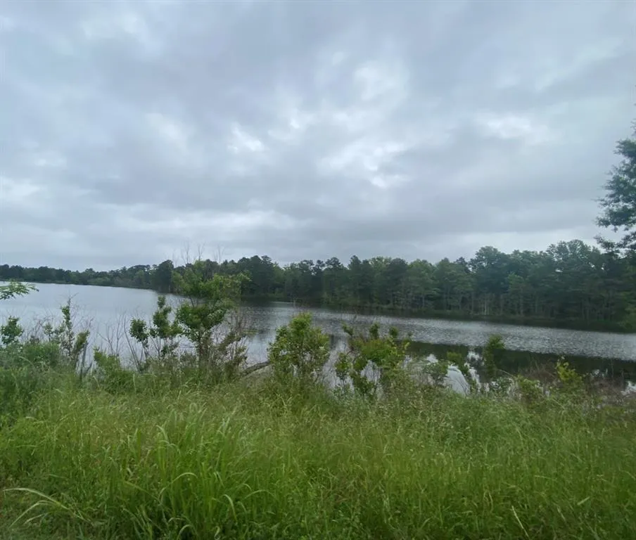 Wildwood Drive Shreveport, LA 71119