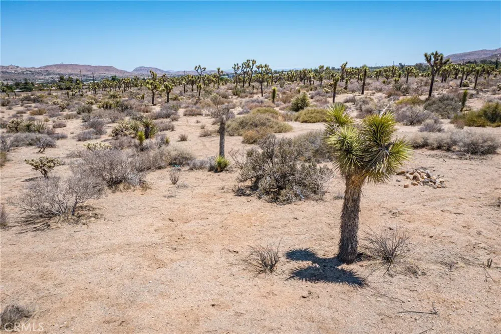 58280 Twentynine Palms Hwy Yucca Valley, CA 92284