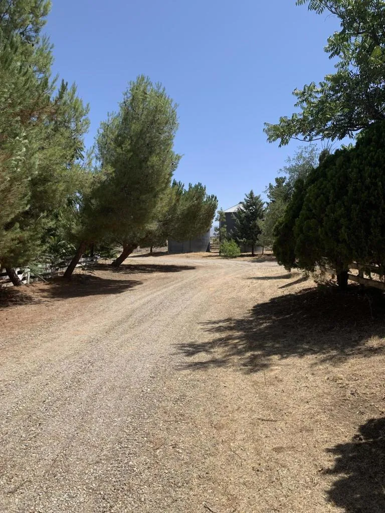 231 Castro Canyon Road Cuyama, CA 93254