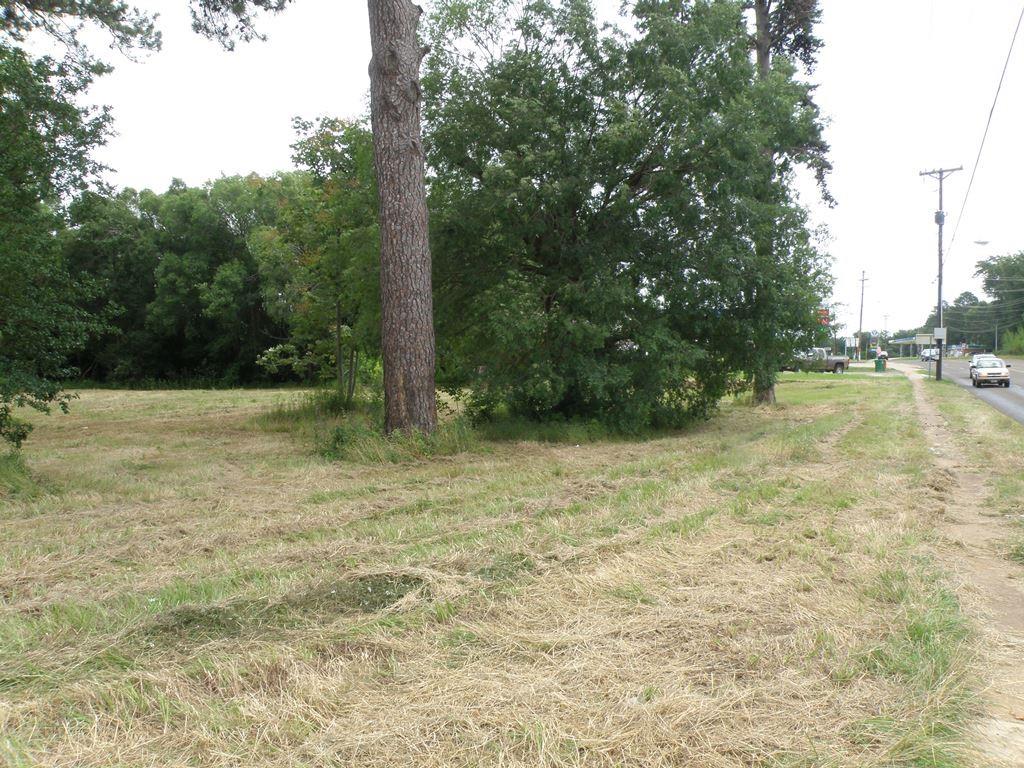 409 E Palestine Avenue Palestine, TX 75801
