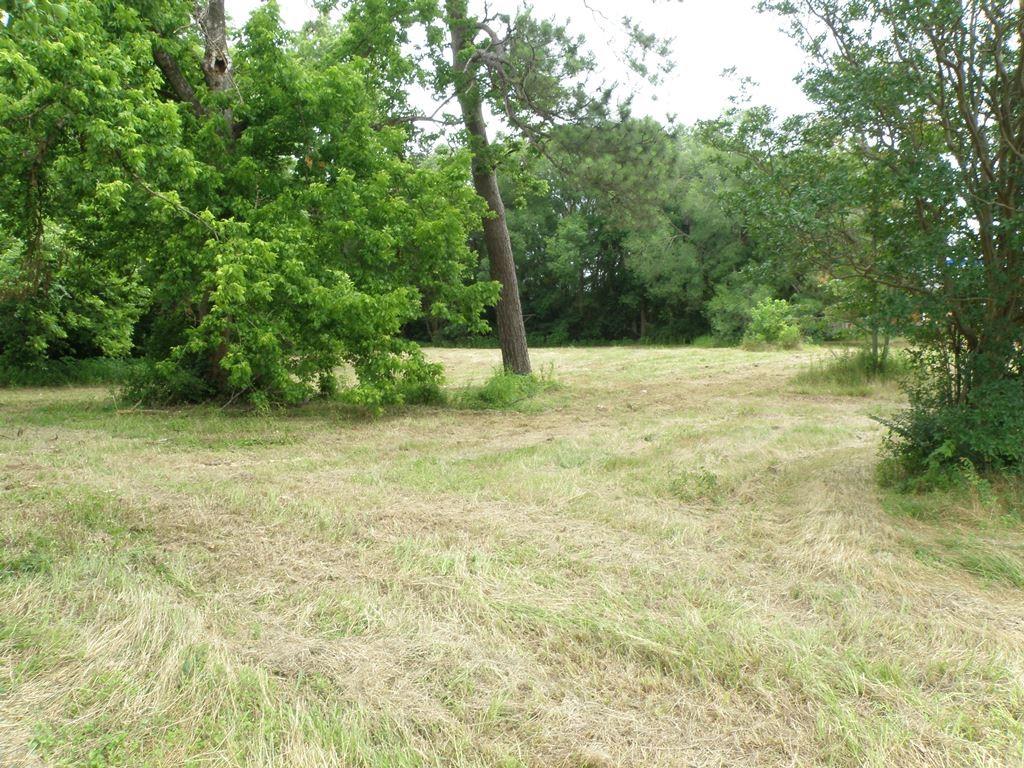 409 E Palestine Avenue Palestine, TX 75801