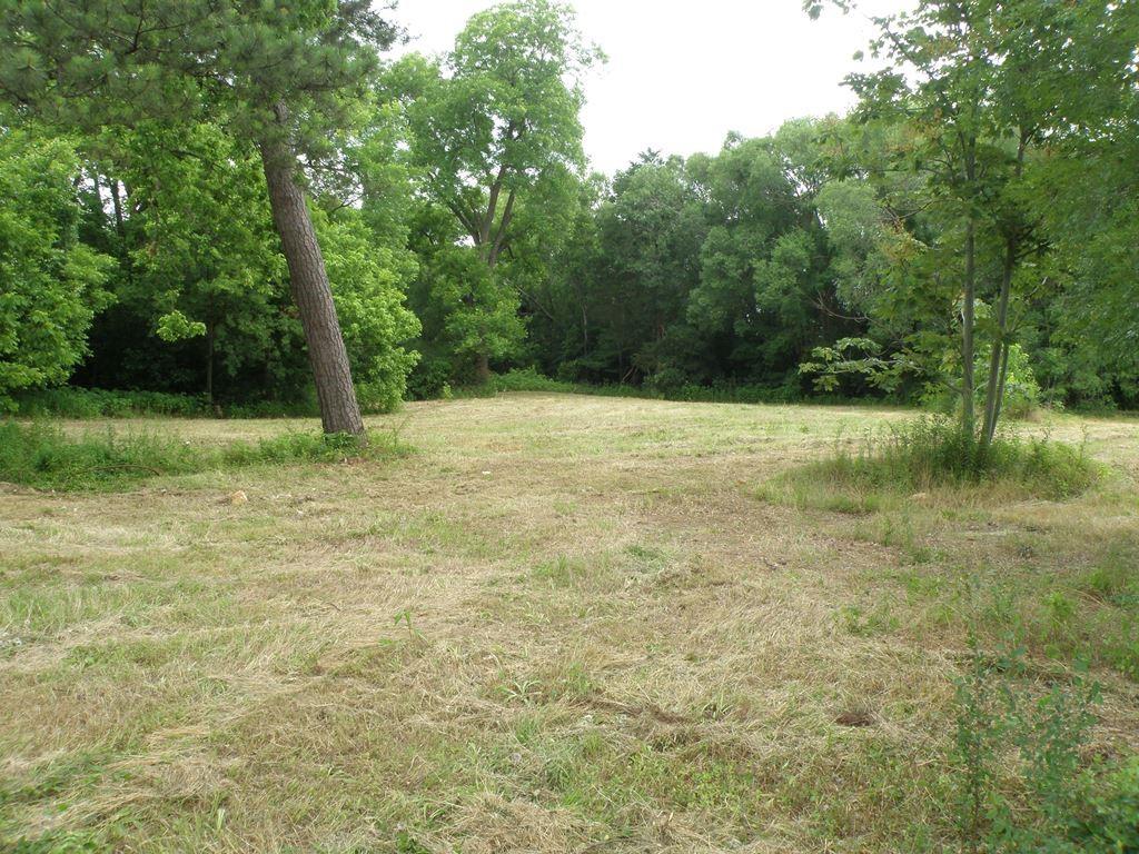 409 E Palestine Avenue Palestine, TX 75801