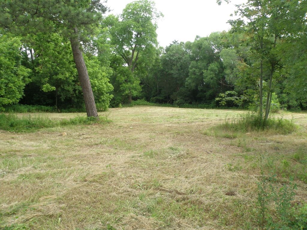 409 E Palestine Avenue Palestine, TX 75801