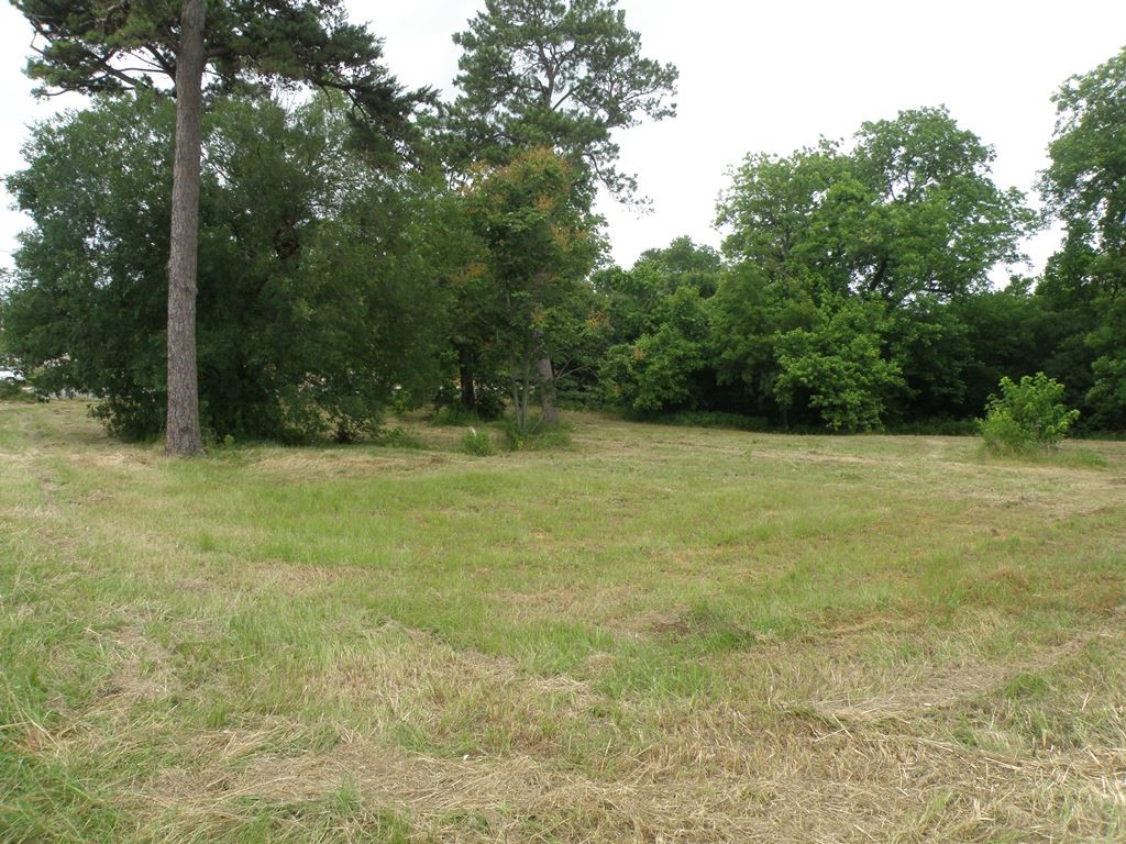 409 E Palestine Avenue Palestine, TX 75801