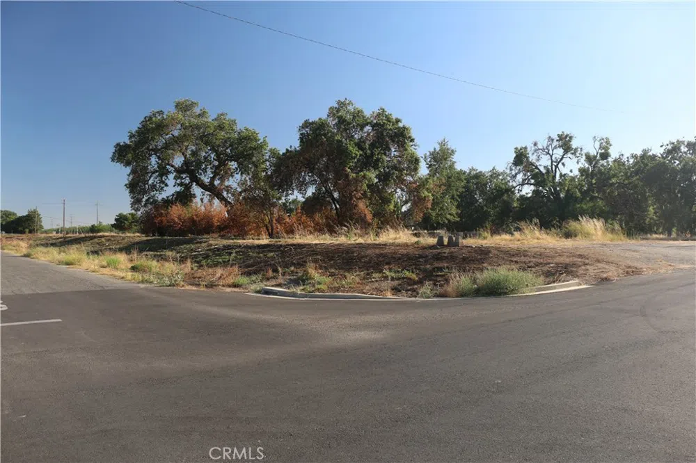 Walsh Avenue Hamilton City, CA 95965