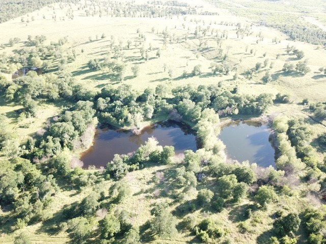2883 State Highway 71 Highway W Cedar Creek, TX 78612
