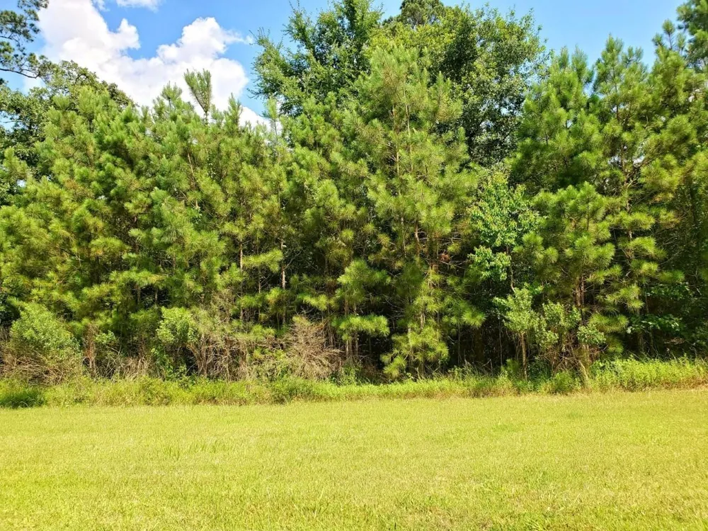 73 Kings Lake Estates Boulevard