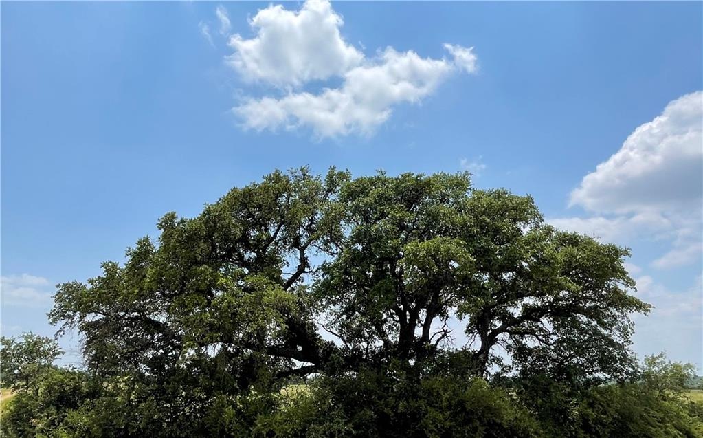 377 S. Highway Brownwood, TX 76827