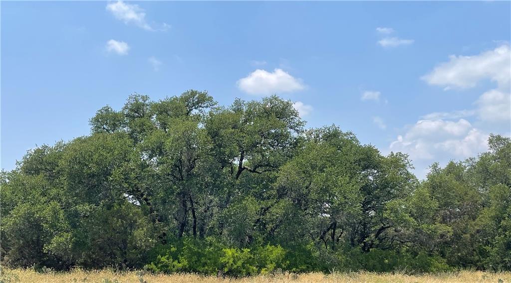 377 S. Highway Brownwood, TX 76827