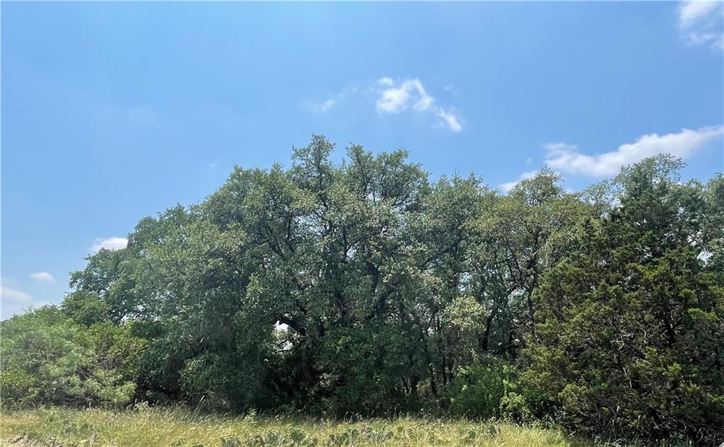 377 S. Highway Brownwood, TX 76827