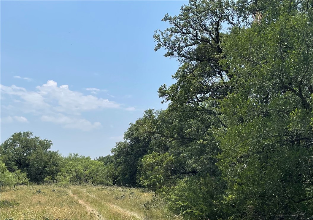 377 S. Highway Brownwood, TX 76827