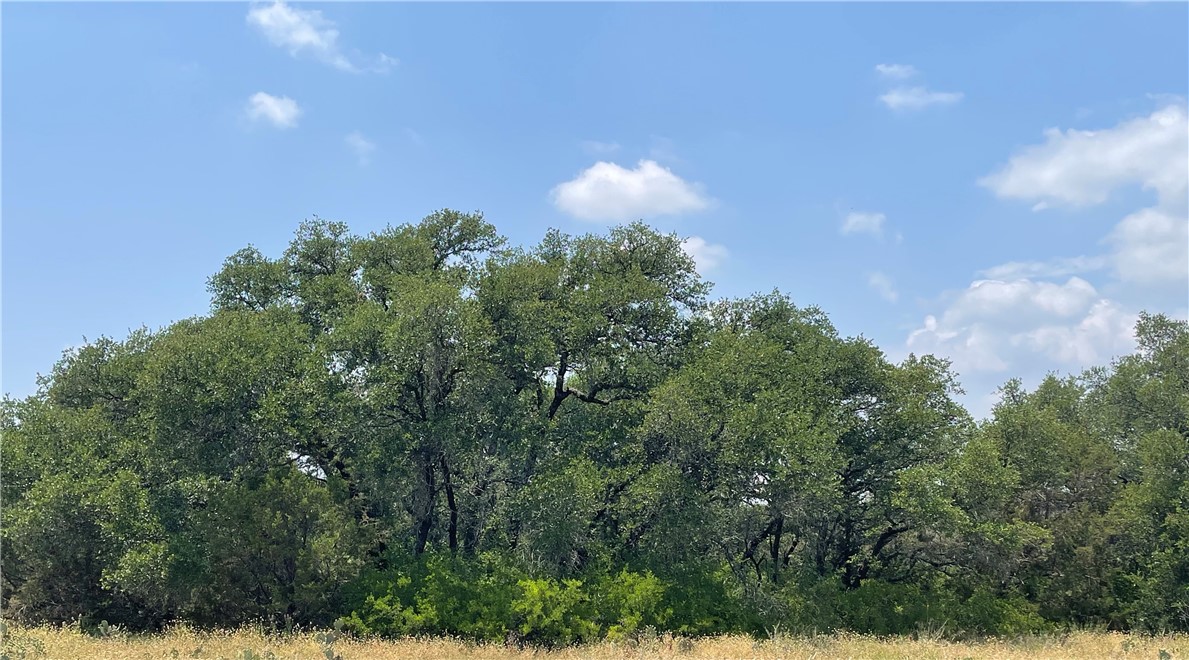 377 S. Highway Brownwood, TX 76827