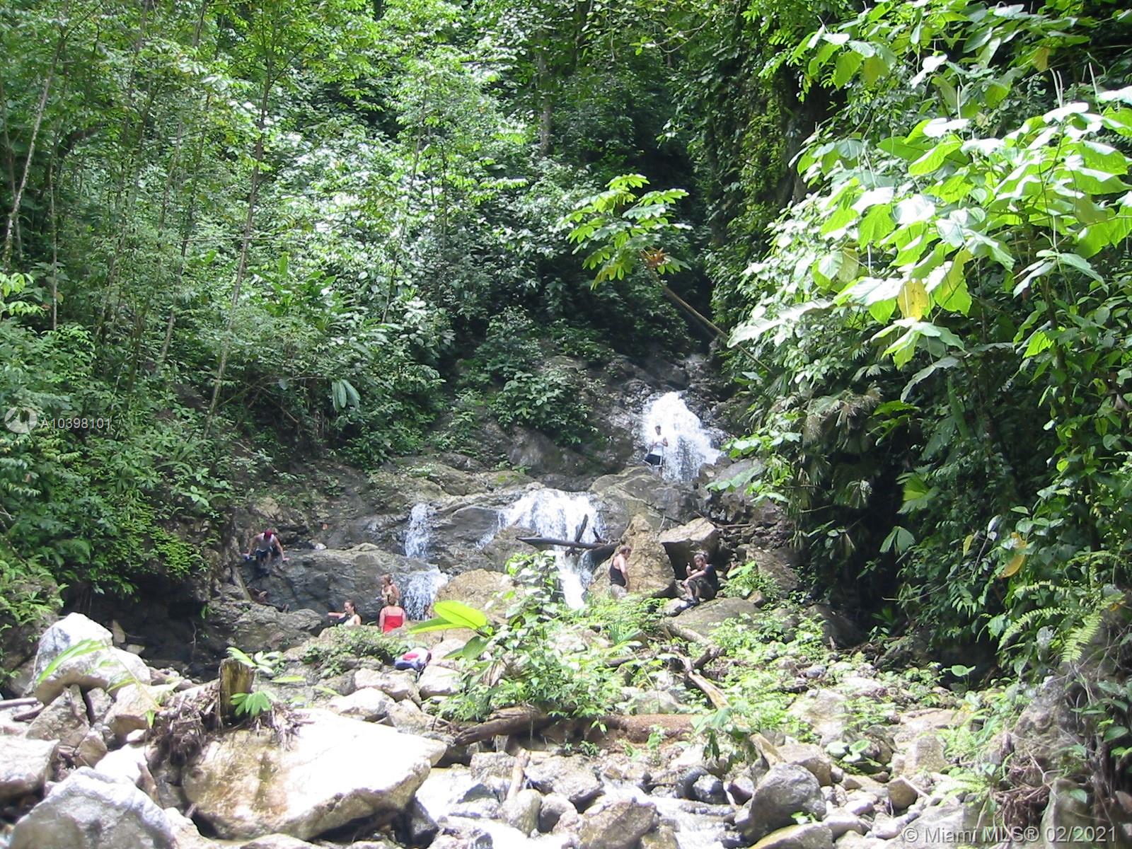 1 Carate Osa Peninsula 