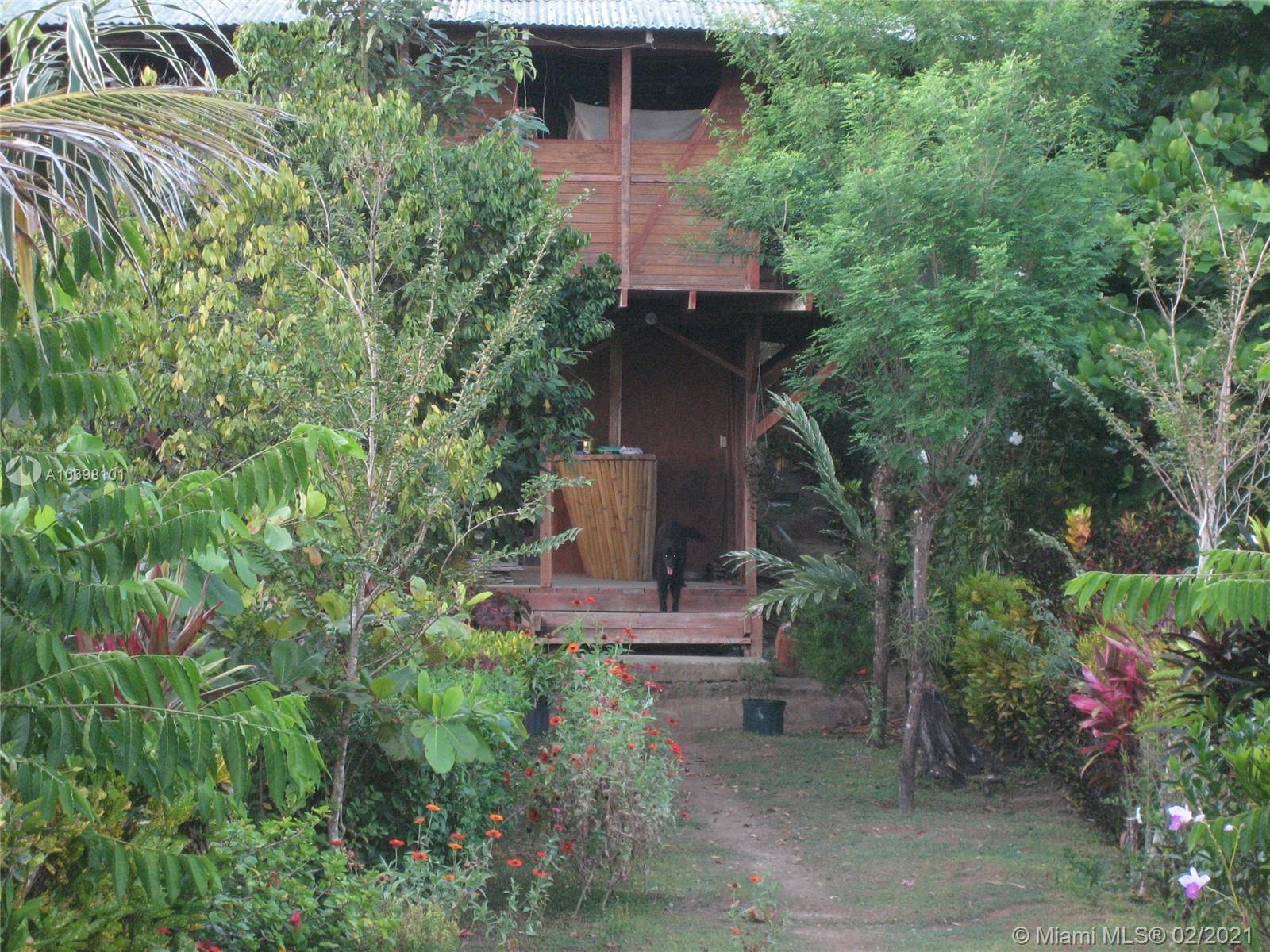 1 Carate Osa Peninsula 