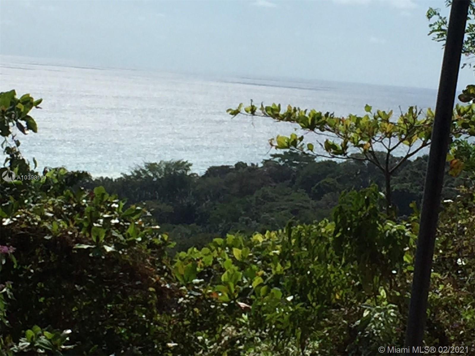 1 Carate Osa Peninsula 