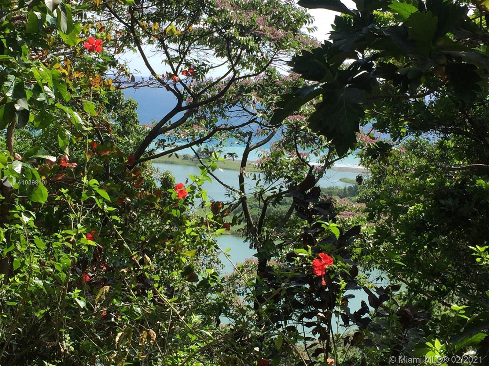 1 Carate Osa Peninsula 