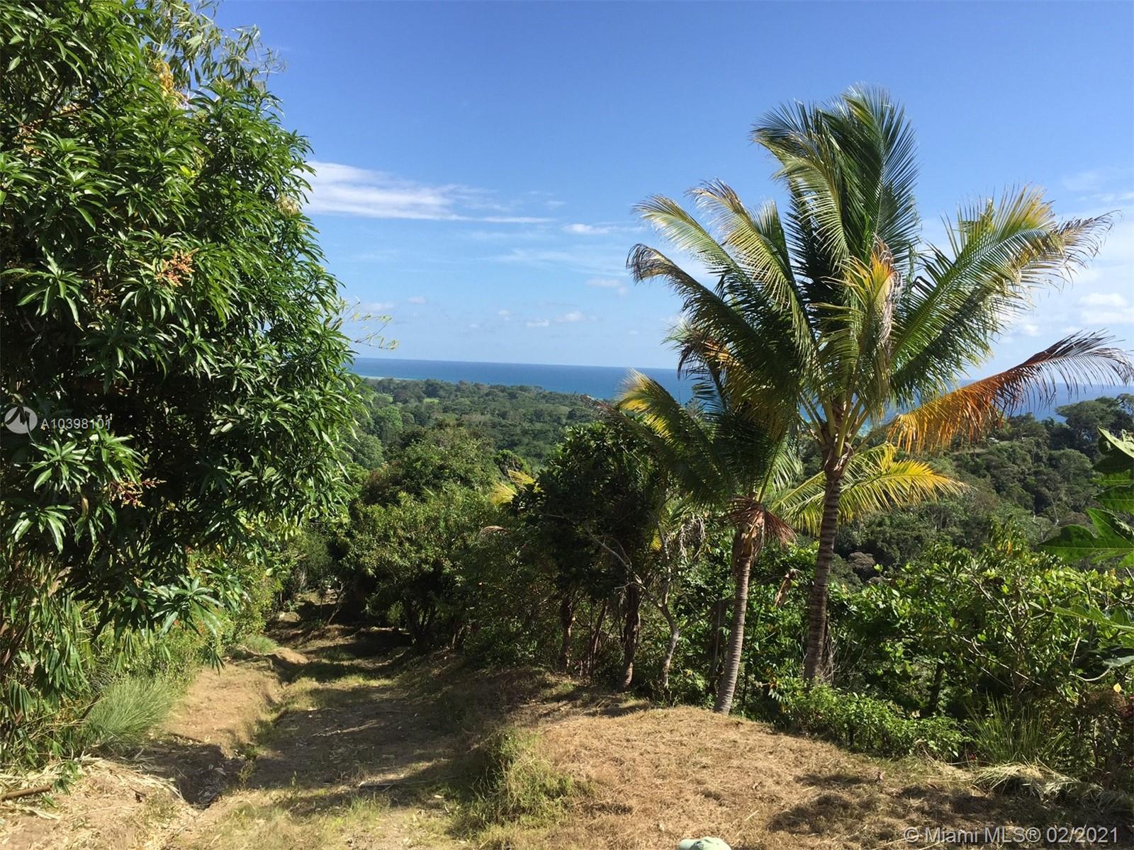 1 Carate Osa Peninsula 