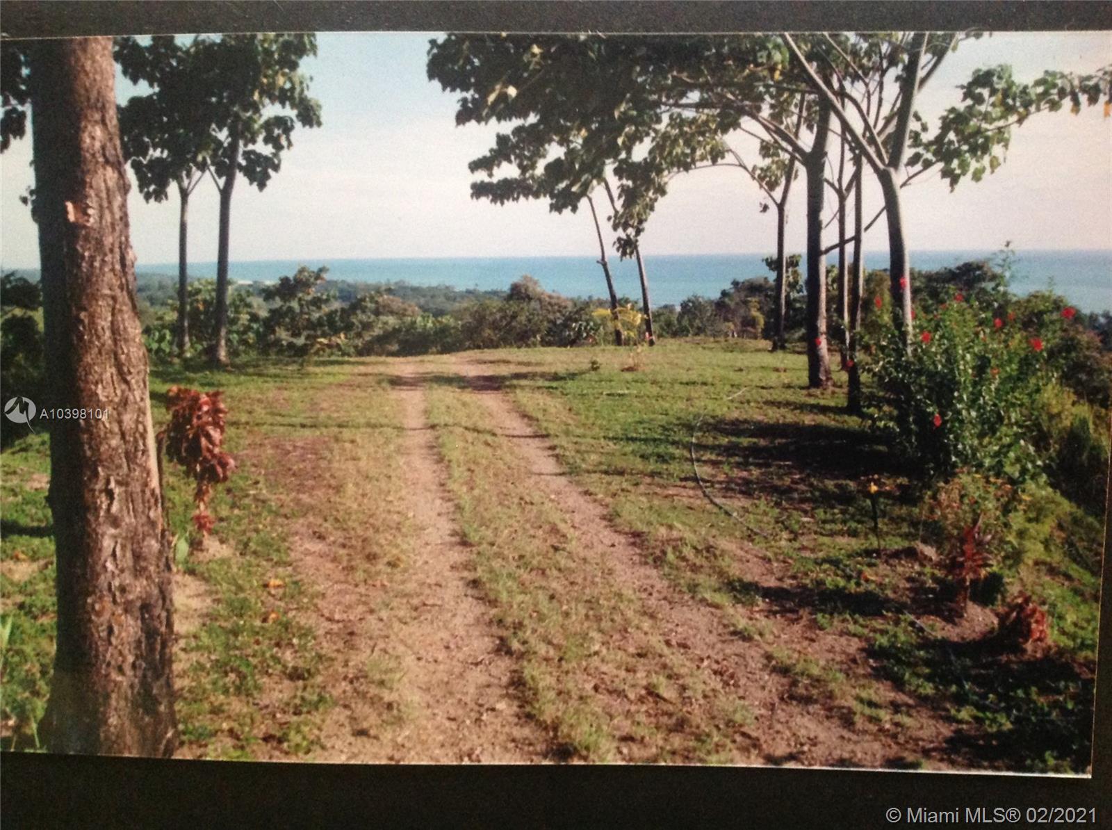 1 Carate Osa Peninsula 
