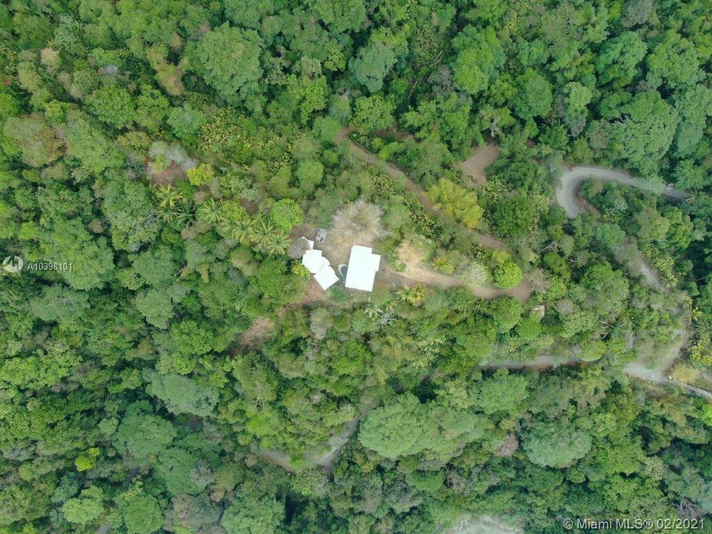 1 Carate Osa Peninsula 