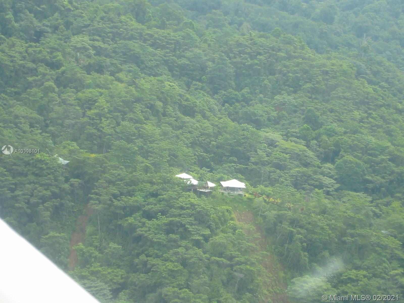 1 Carate Osa Peninsula 