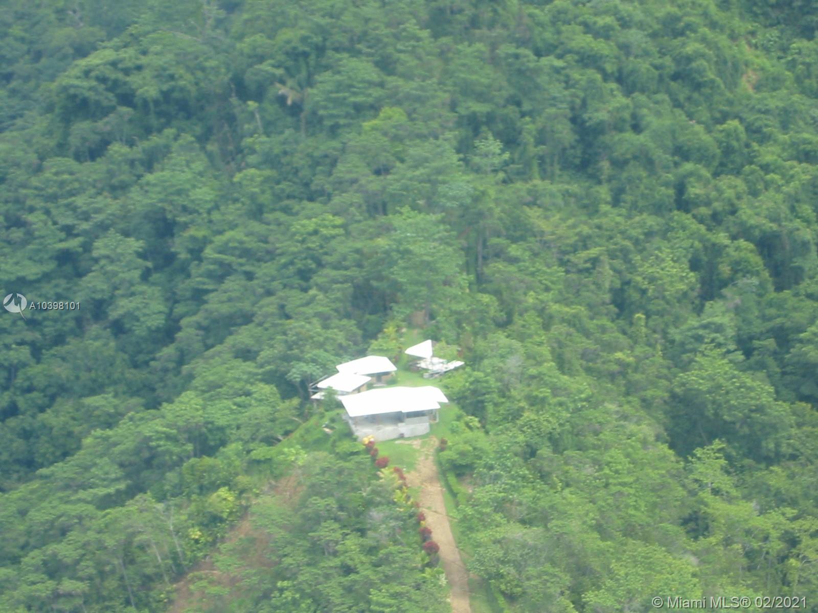 1 Carate Osa Peninsula 