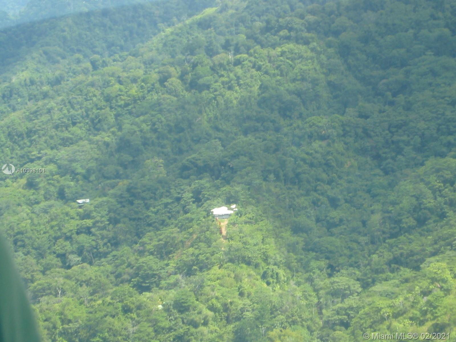 1 Carate Osa Peninsula 