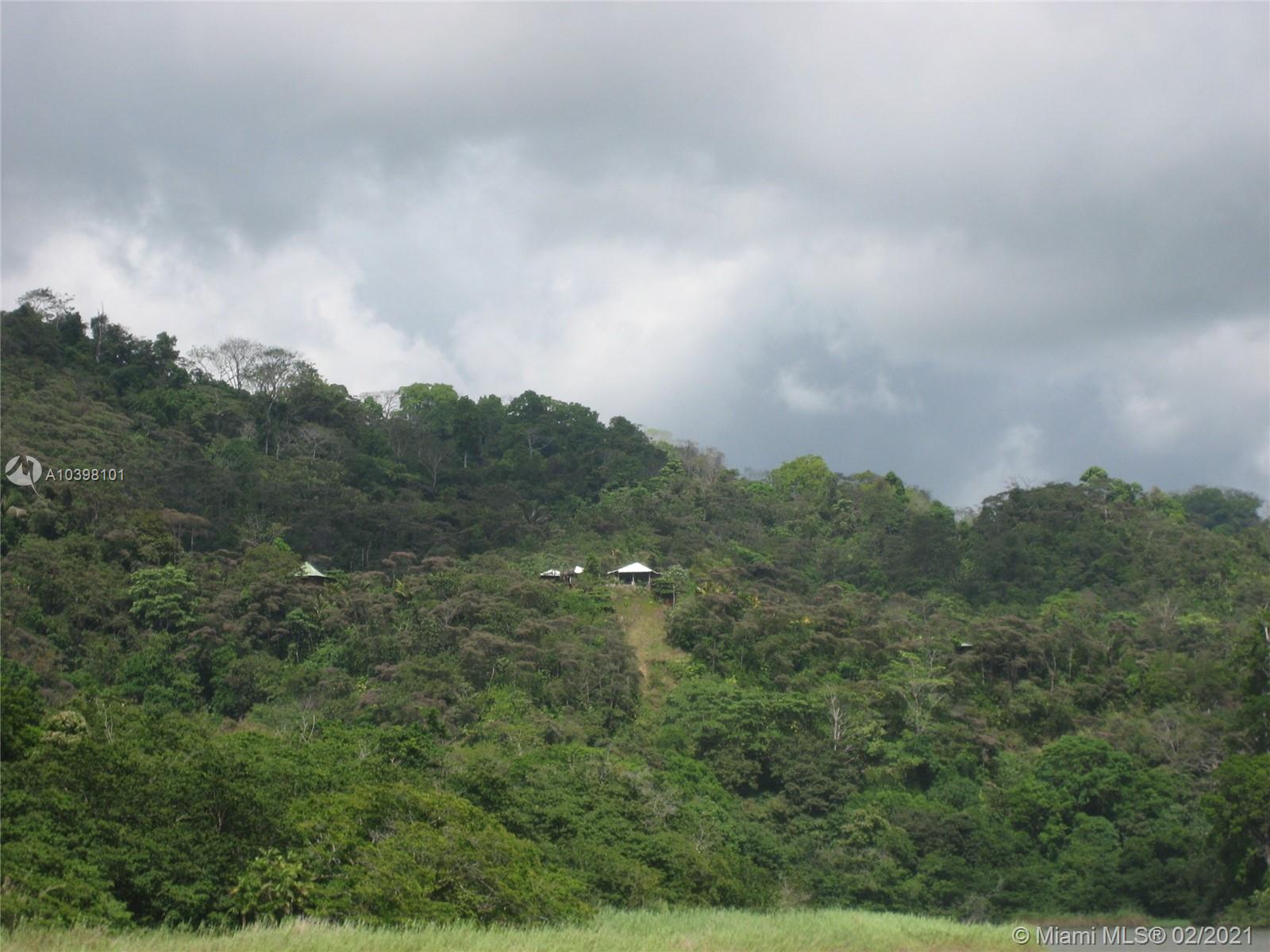 1 Carate Osa Peninsula 