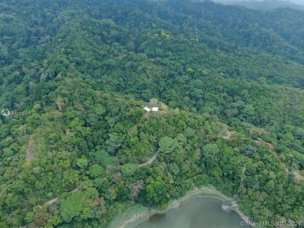 1 Carate Osa Peninsula 