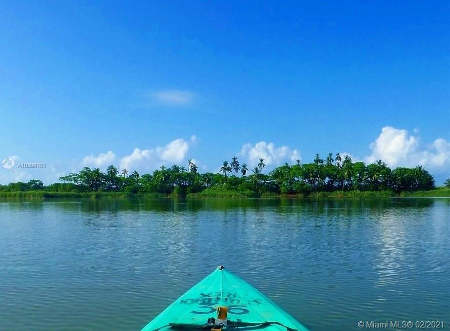 1 Carate Osa Peninsula 