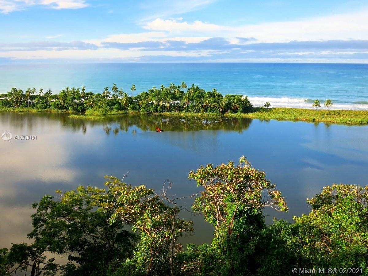 1 Carate Osa Peninsula 