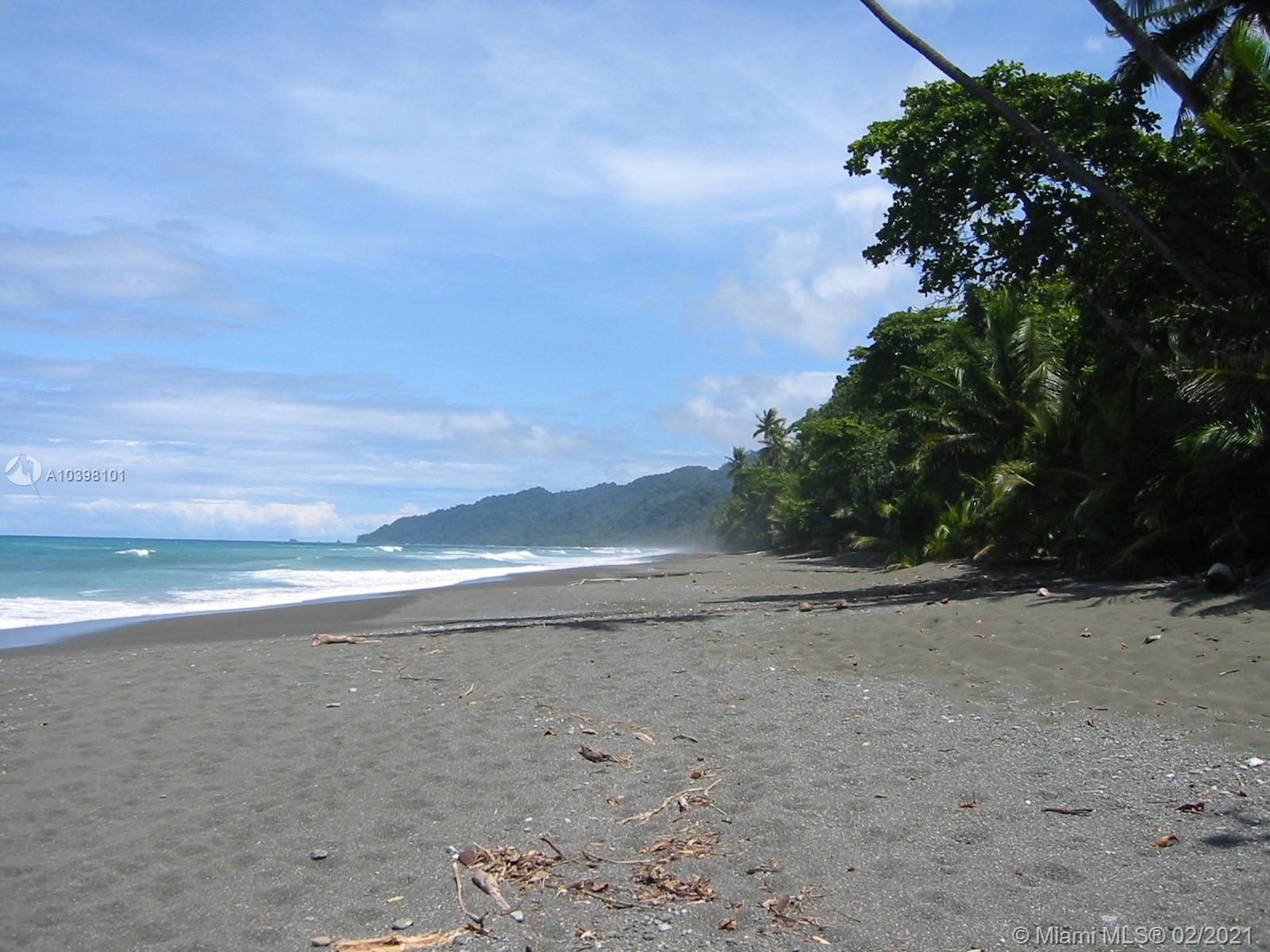 1 Carate Osa Peninsula 
