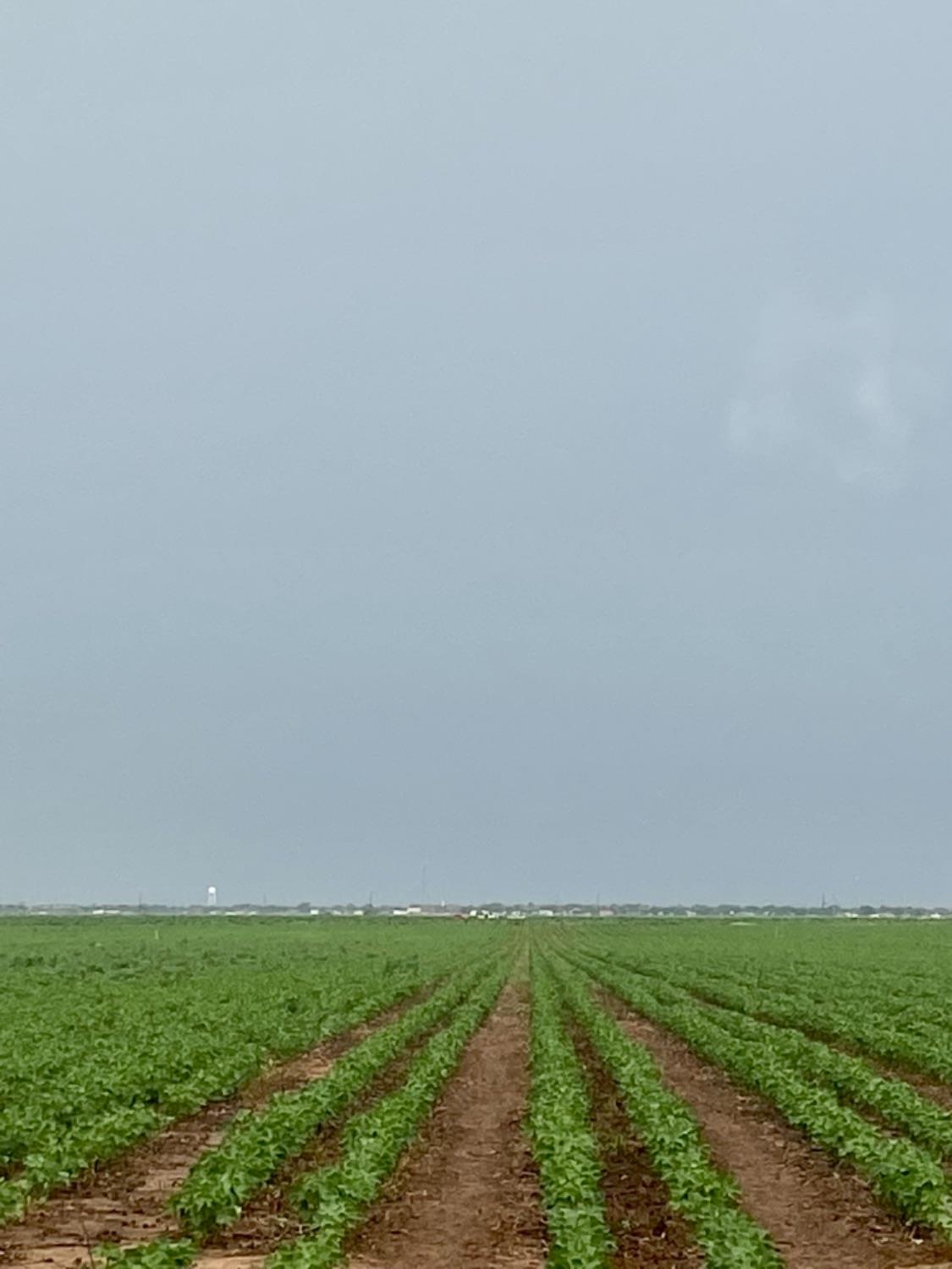 11204 E US Highway 62/82