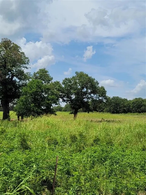 Hwy 59 S