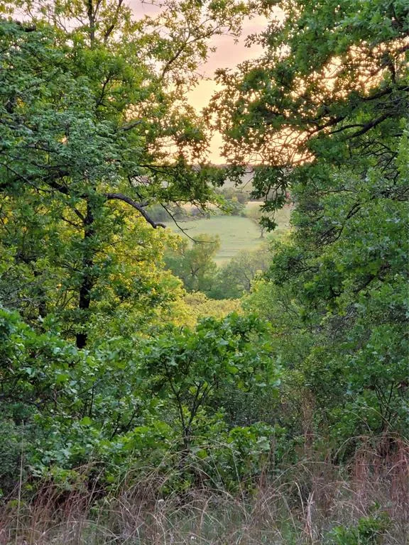 Hwy 59 S Bowie, TX 76230