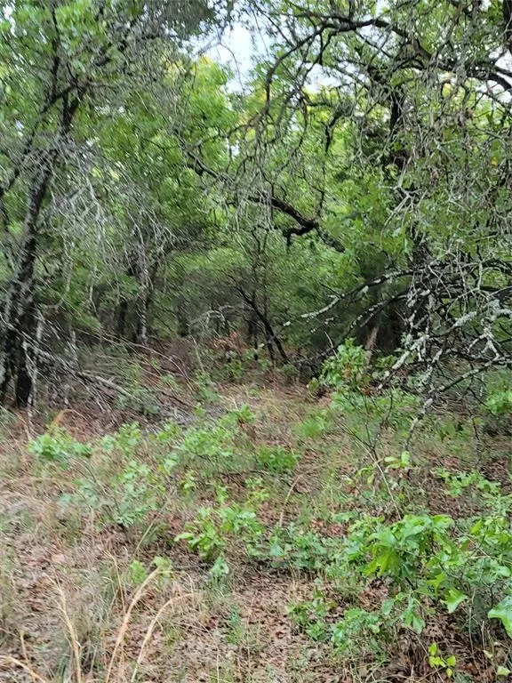 Hwy 59 S Bowie, TX 76230