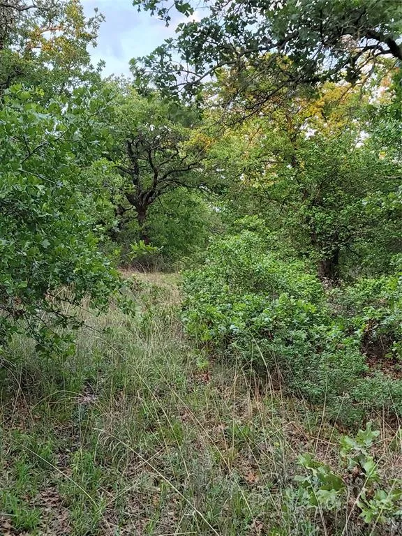 Hwy 59 S Bowie, TX 76230