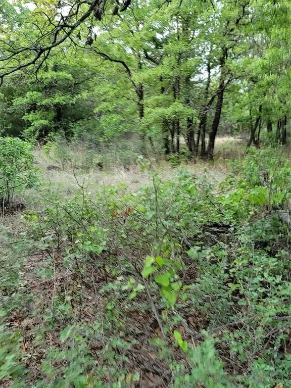 Hwy 59 S Bowie, TX 76230