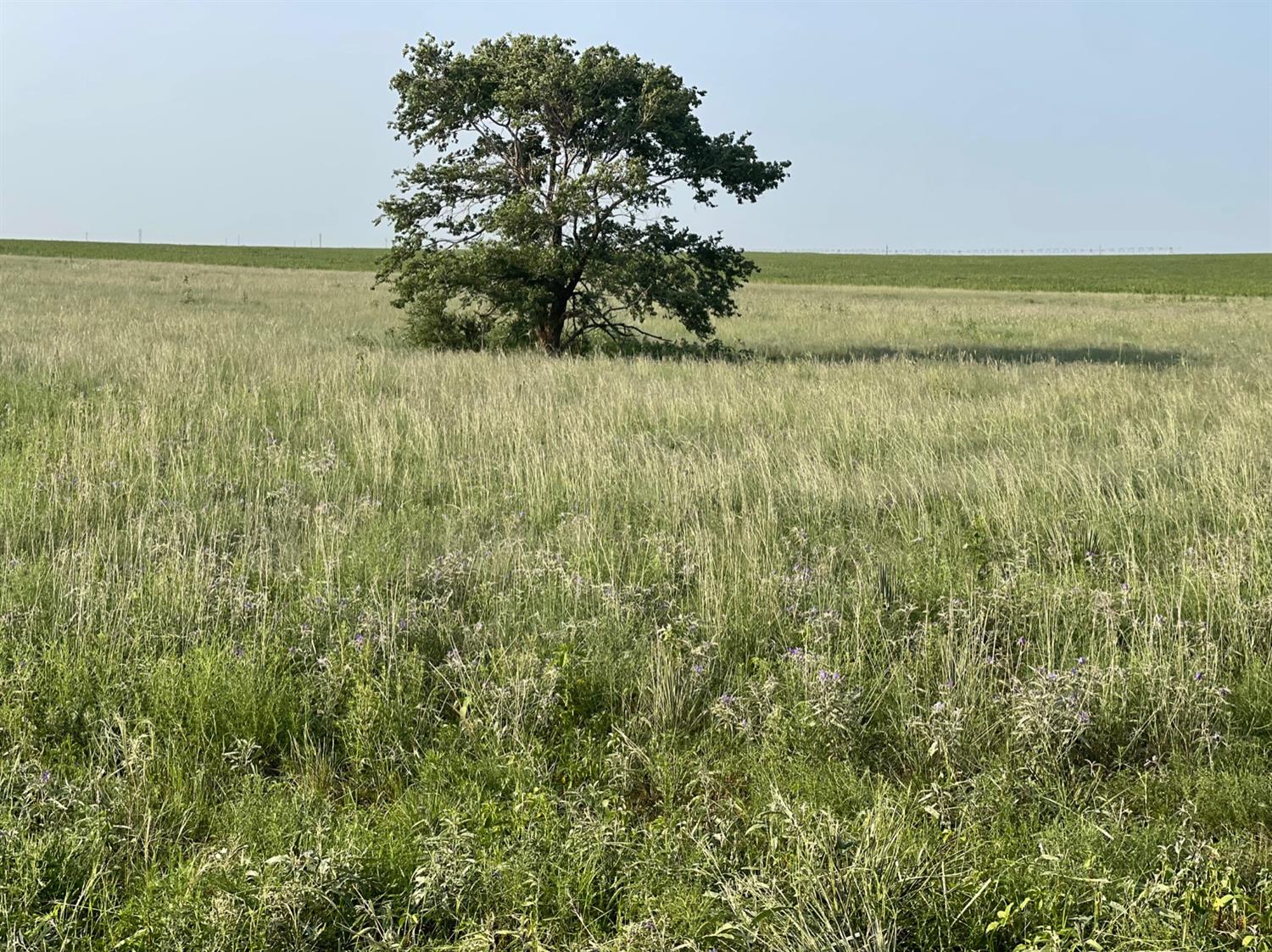 1464 County Road 192 Amherst, TX 79312