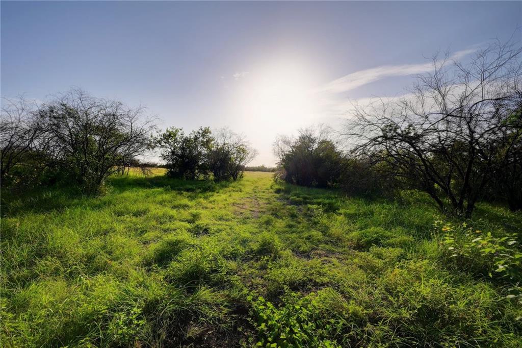 1280 Union Wine Road New Braunfels, TX 78130