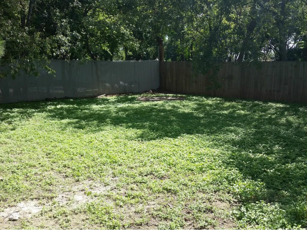 823 Taulbee Ln. Apt D Austin, Texas 78757