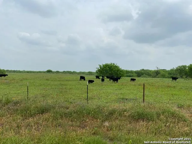 00 APPLEWHITE RD San Antonio, TX 78264
