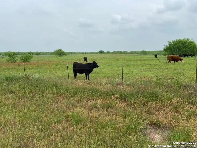 00 APPLEWHITE RD San Antonio, TX 78264