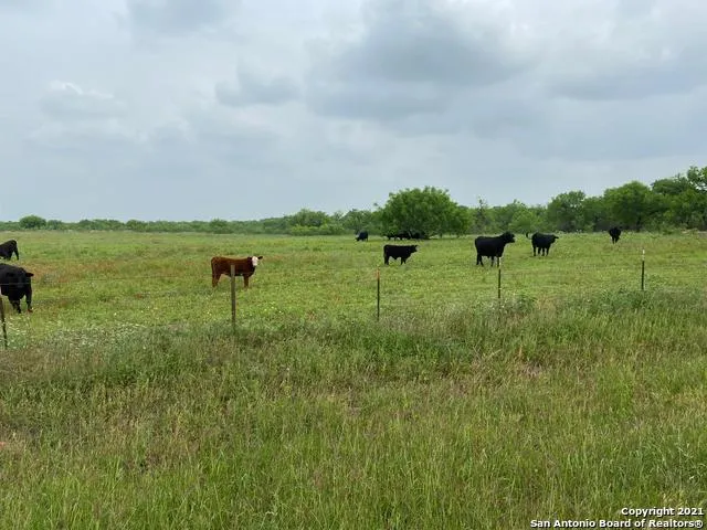 00 APPLEWHITE RD San Antonio, TX 78264